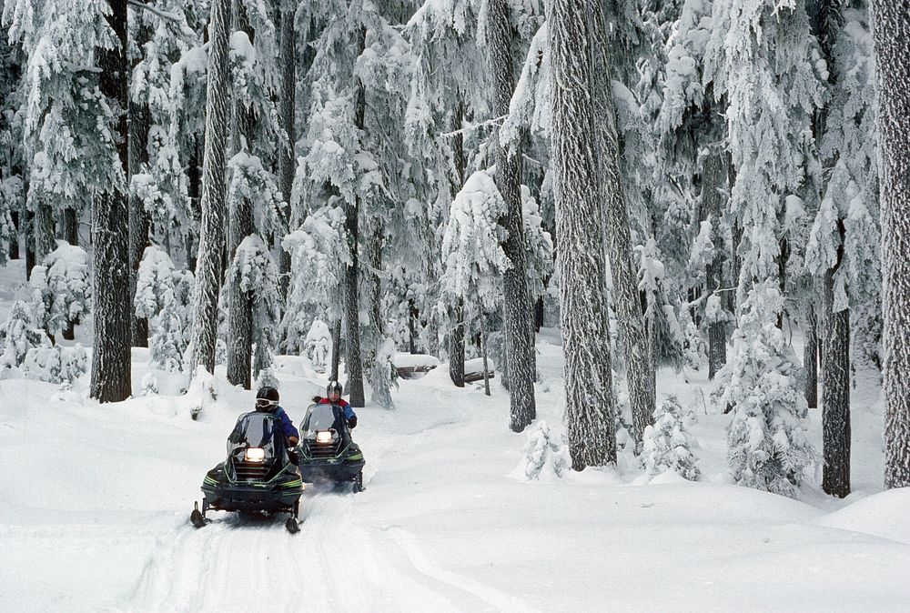 Snowmobiling snowmobile trail Mt Hood National Forest. Original public domain image from Flickr