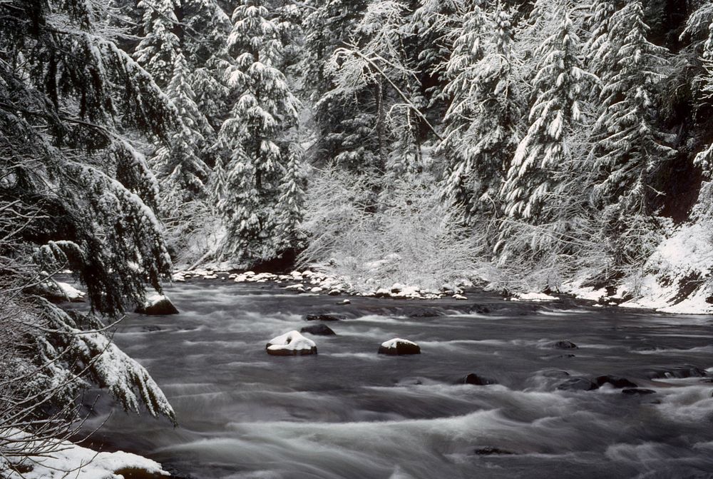 Salmon River Mt Hood National Forest. Original public domain image from Flickr