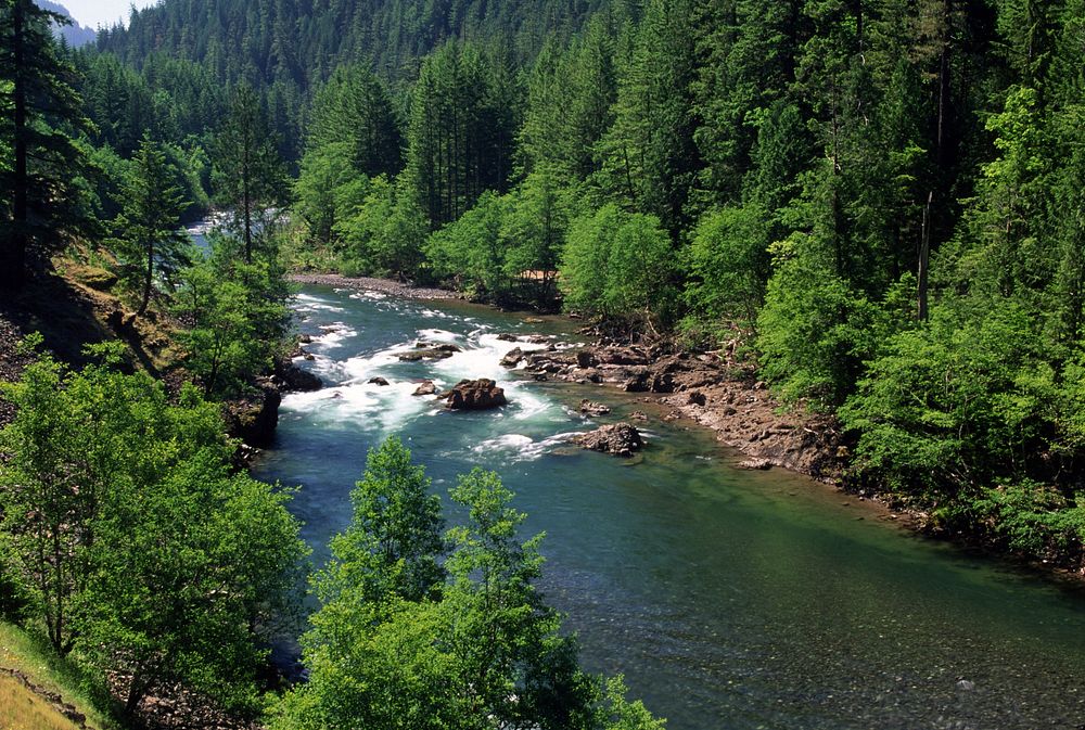 Clackamas River, Mt Hood National Forest. Original public domain image from Flickr