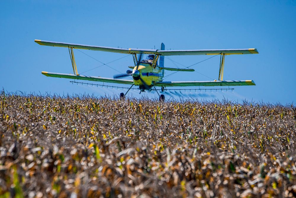 A crop duster lays down fungicide and insecticide on the fields of Navy-veteran Lenny Evans Miles, Jr., who was raised in…
