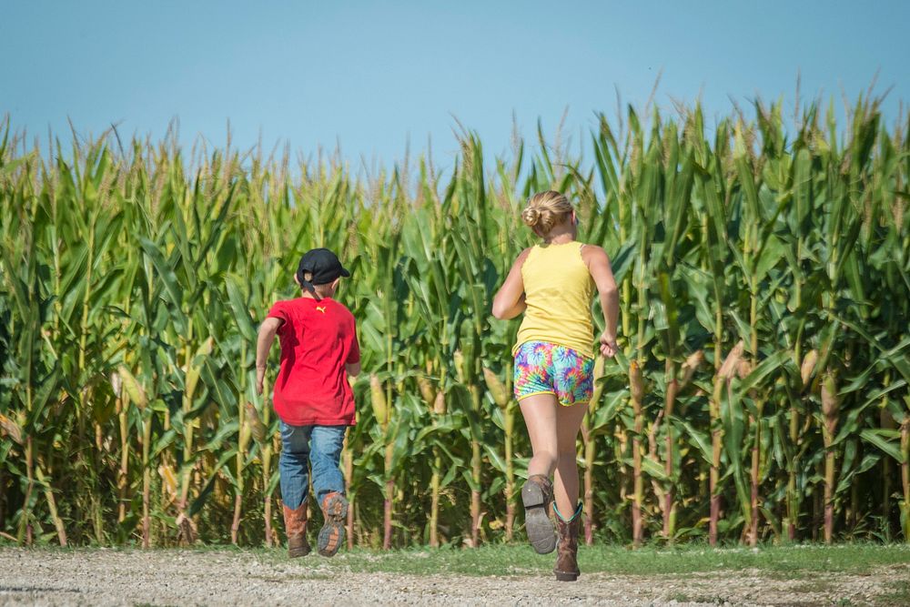 The Brodale children: Isabelle, 10, and Hunter Brodale, 7, race on a farm outside Humbolt, Iowa, while their father works…