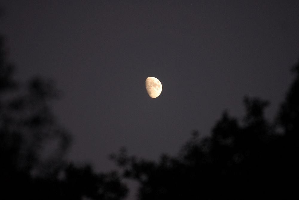 Half Moon rising in part at dusk. Original public domain image from Flickr