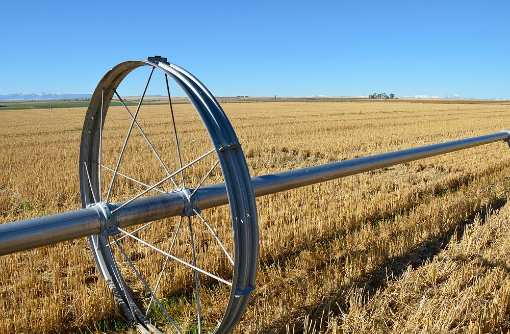 Harvested wheatfield with wheel line irrigation system near Manhattan, Montana, September 2014. Original public domain image…