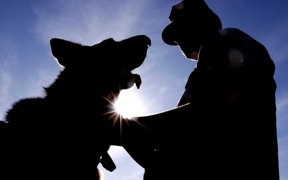 Lance Cpl. Norby W. Buchhorn, military police K-9 handler, Security Battalion, Marine Corps Base Camp Pendleton, walks Sgt.…