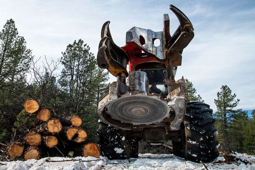 James Perkins of Perkins Timber Harvesting (the awarded contractor for the Isham timber sale) operates a feller buncher to…