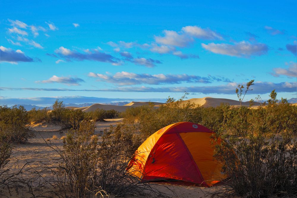 These small dunes, part of the Mojave Trails National Monument, were formed by north winds pushing sand off the Cadiz Dry…