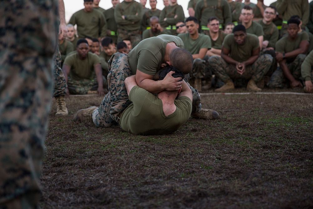 U.S. Marines with Headquarters Battalion (HQBN), 2nd Marine Division (2d MARDIV), grapple during a Commander's Cup field…