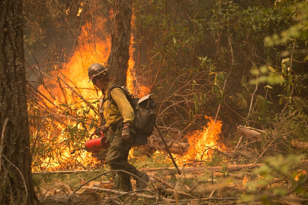 Firefighter, Umpqua National Forest Fires, 2017Umpqua NF Fires, 2017, Oregon. Original public domain image from Flickr