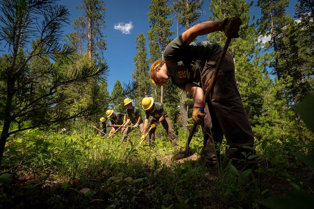 Members of the Montana Conservation Corps clear trails near Hilltop Campground in the Beaverhead-Deerlodge National Forest.