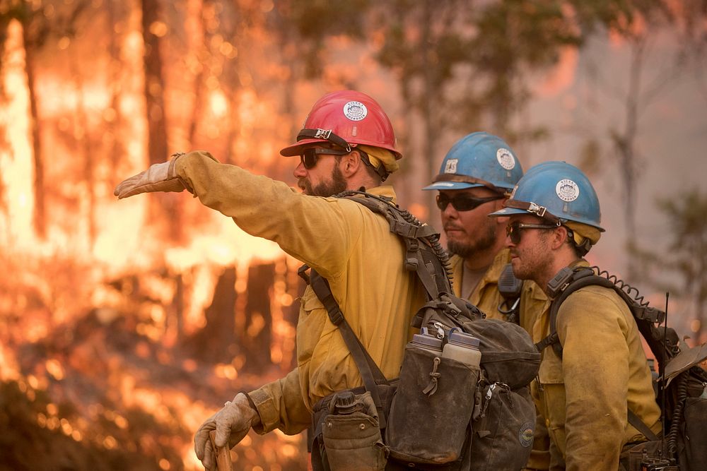 Sierra Hotshots Captain directing crew members during a burn operation near Jerseydale; Ferguson Fire, Sierra NF, CA, 2018.…