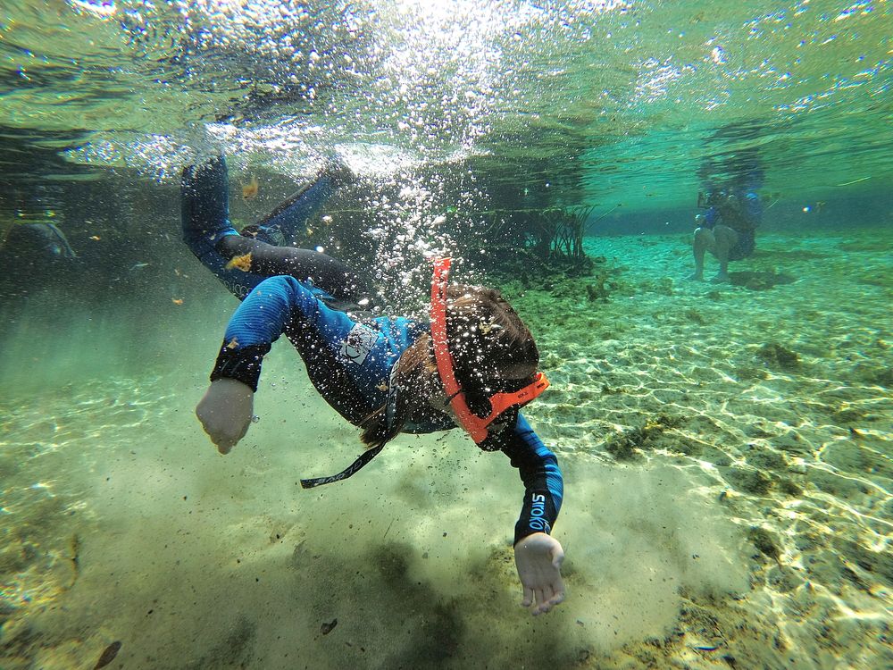 Children participate in snorkeling activities at the Alexander Springs Recreation Area, Ocala National Forest, Florida.…