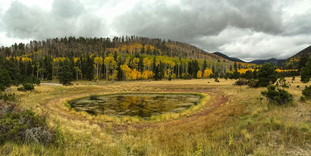 Fall colors at Lockett Meadow Tank, Coconino National Forest, Arizona, October 9, 2014. (Forest Service photo by Brady…