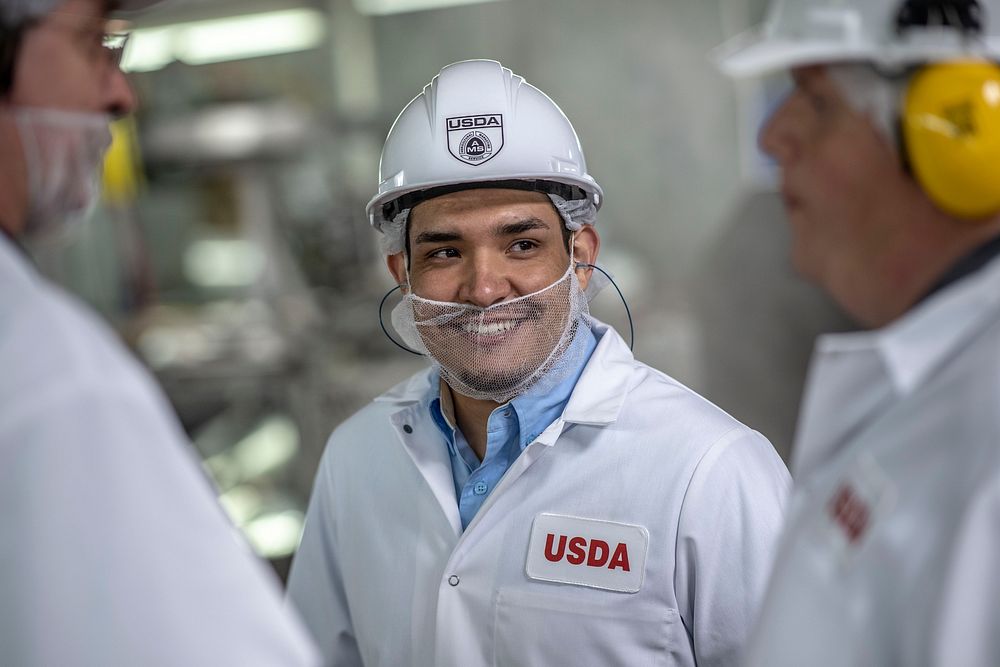 U.S. Department of Agriculture (USDA) Agriculture Marketing Service (AMS) Poultry Grader Albert Gonzales inspects turkeys at…