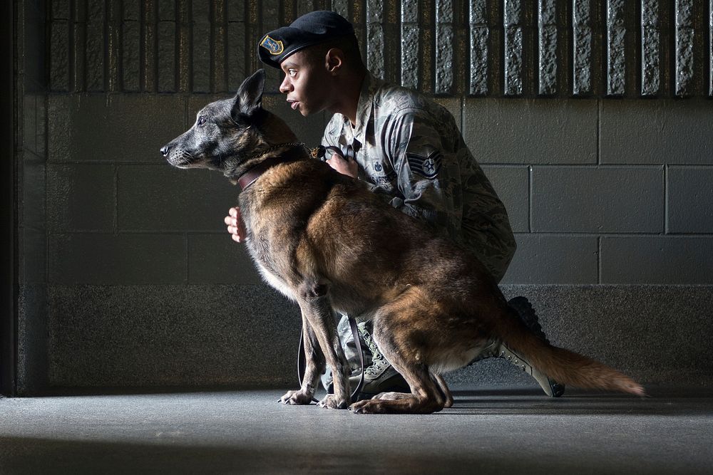 Air Force Staff Sgt. Christopher Bennett, a native of New Orleans, and a military working dog handler assigned to the 673d…