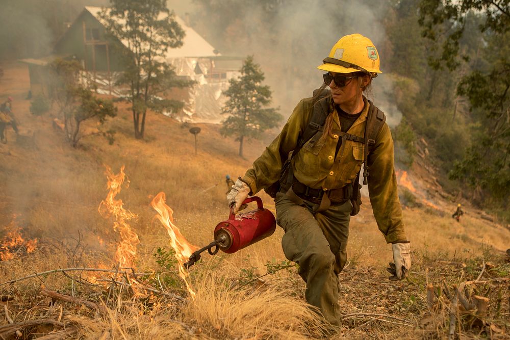 Tahoe Hotshot using a drip torch during a burn operation around Camp One. Ferguson Fire, Sierra NF, CA, 2018. Original…