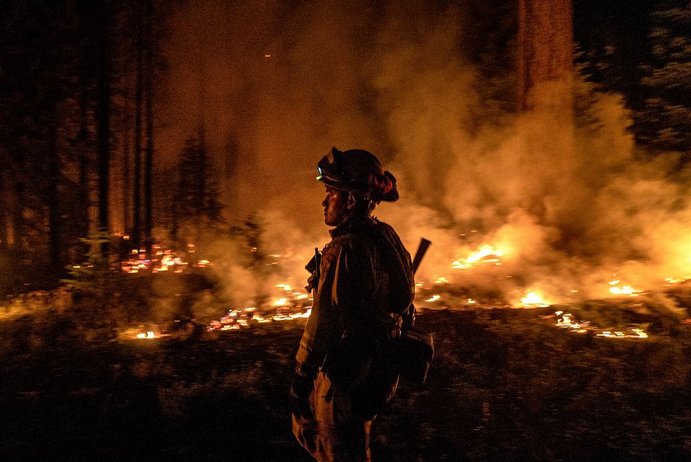 Cal State firefighter, works during a night operation to push back a fireline at the Donnell Fire, Stanislaus National…