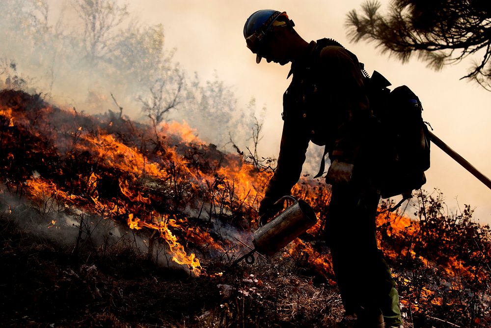 Firefighter conducts a fire drip to contain the Pioneer Fire in Boise National Forest, Idaho, 2016. Original public domain…