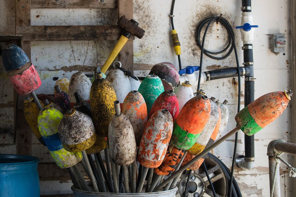 Cranberry Isles Fishermen's Co-op on Islesford (of the Cranberry Isles), Maine, on July 10, 2018.