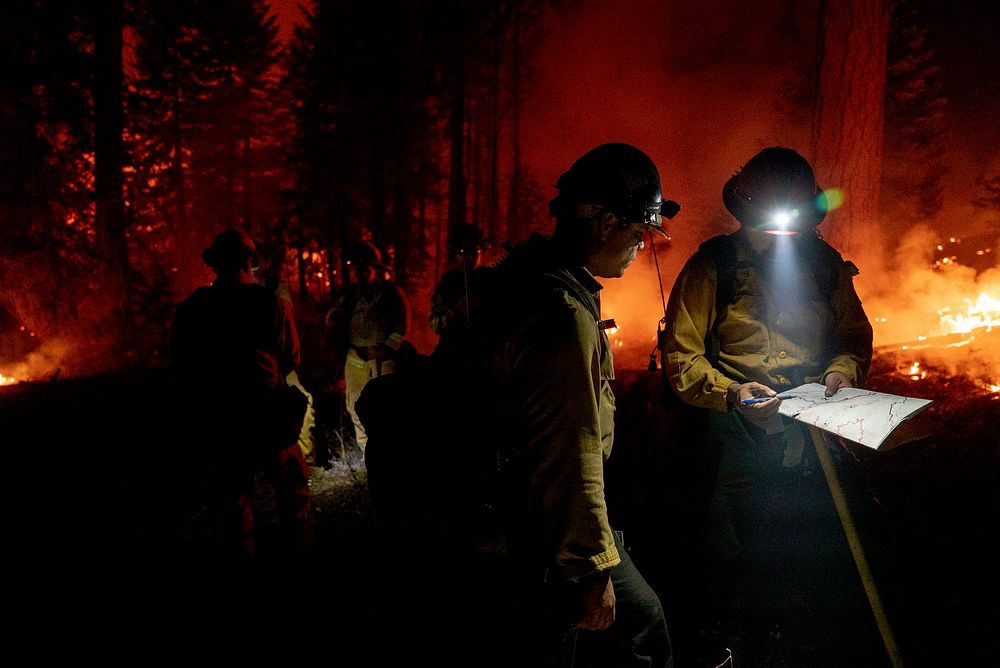 Forest Service and Cal State firefighters work together in a night operation to push back a fire line at the Donnell Fire…