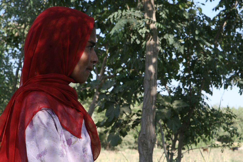 Afghan girl helps in the fields