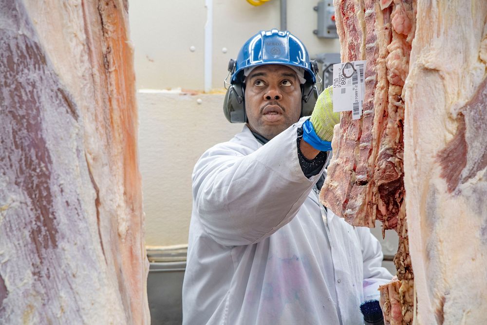 U.S. Department of Agriculture (USDA) meat inspectors and graders perform their mission.USDA photo by Preston Keres.…