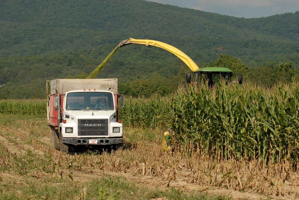 Corn is harvested on a farm in Augusta County, Virginia on September 7, 2008. USDA photo by Bob Nichols. Original public…