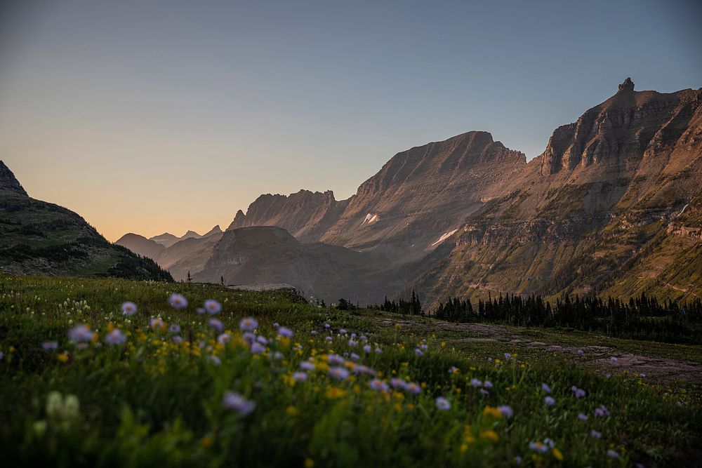Logan Pass and the Garden Wall in August splendor. Original public domain image from Flickr
