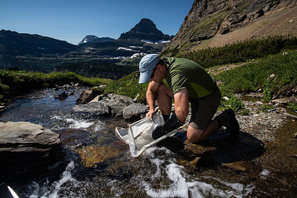 Researching aquatic insects in the alpine. Original public domain image from Flickr