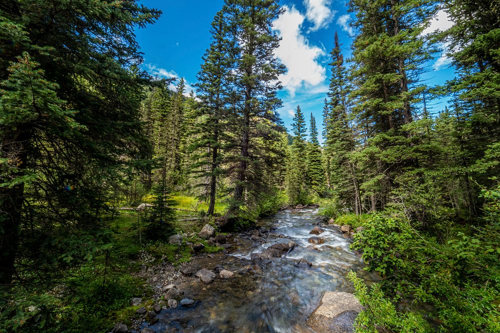 A stream flows through the Tobacco Root Mountain Range, Butte Ranger District of Beaverhead-Deerlodge National Forest…