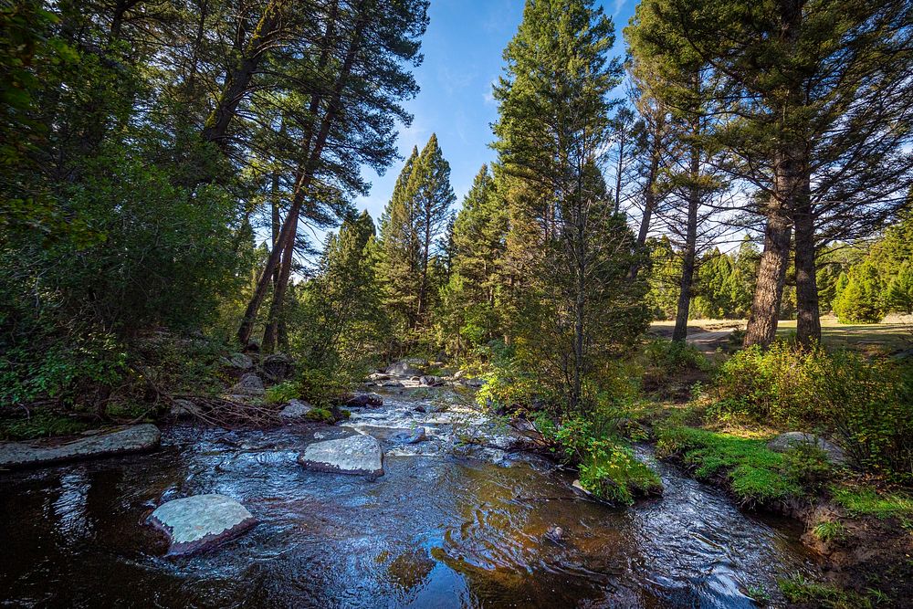 A stream flows through the Whitetall Mountains in the Butte Ranger District of Beaverhead-Deerlodge National Forest Montana…