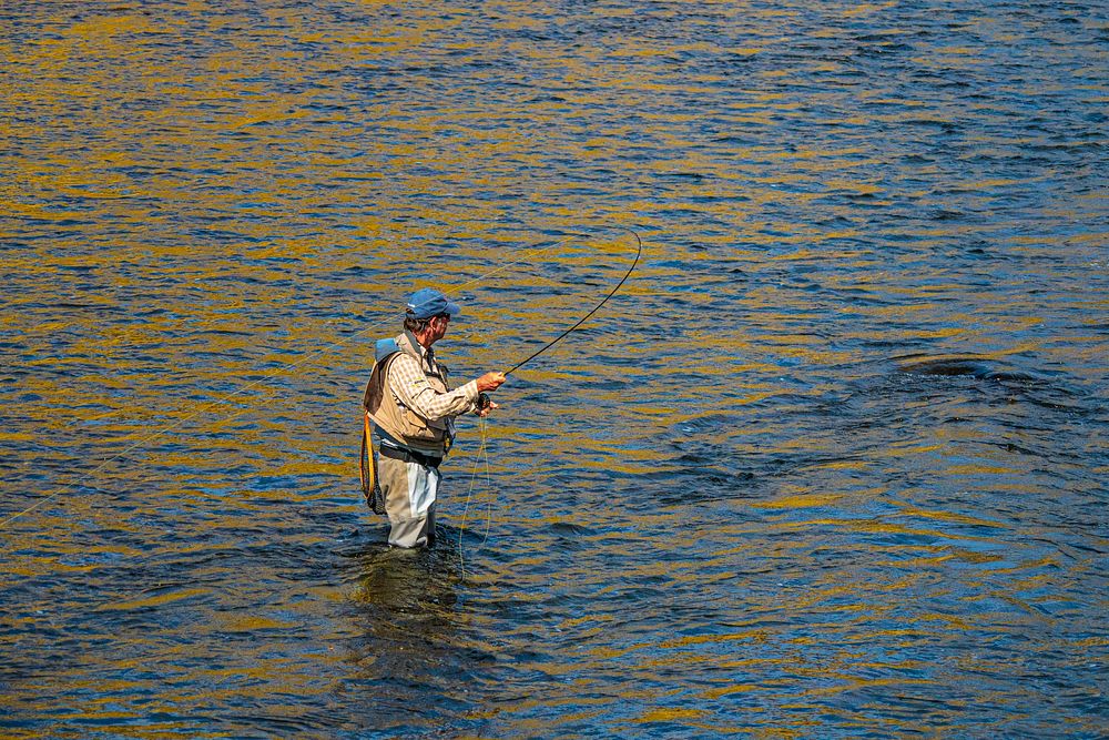 A fly fisherman casts his line in the Big Hole River near Melrose, Montana, September 15, 2019.USDA Photo by Preston Keres.…