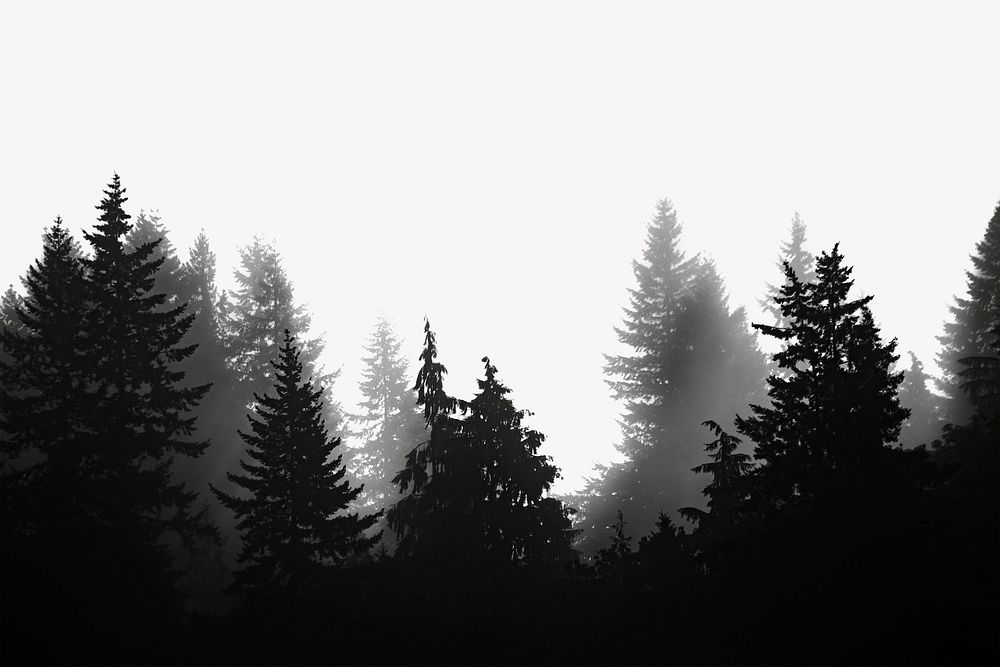 Forest collage element, off white design psd