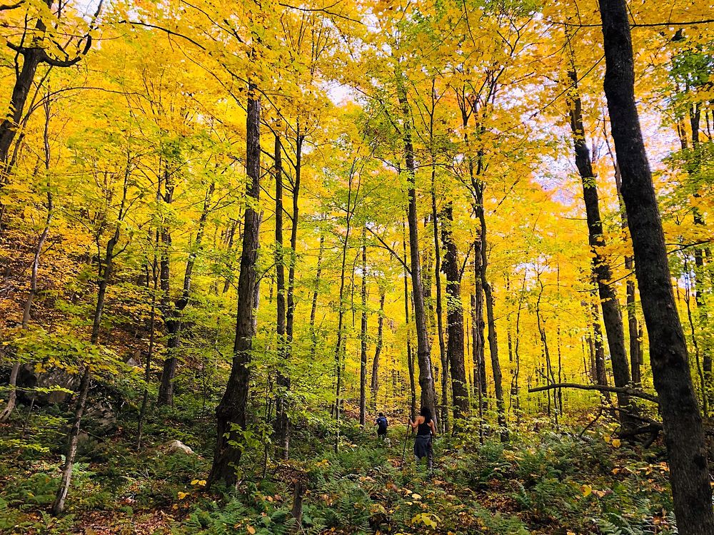 Hikers enjoying the fall colors and recreation opportunities in the Adirondacks of northeastern New York, on October 12…