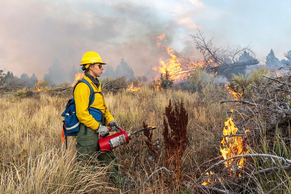 Blacklining the Trout Springs Rx Fire. A firefighters sets a prescribed fire using a drip torch. (DOI/Neal Herbert).…
