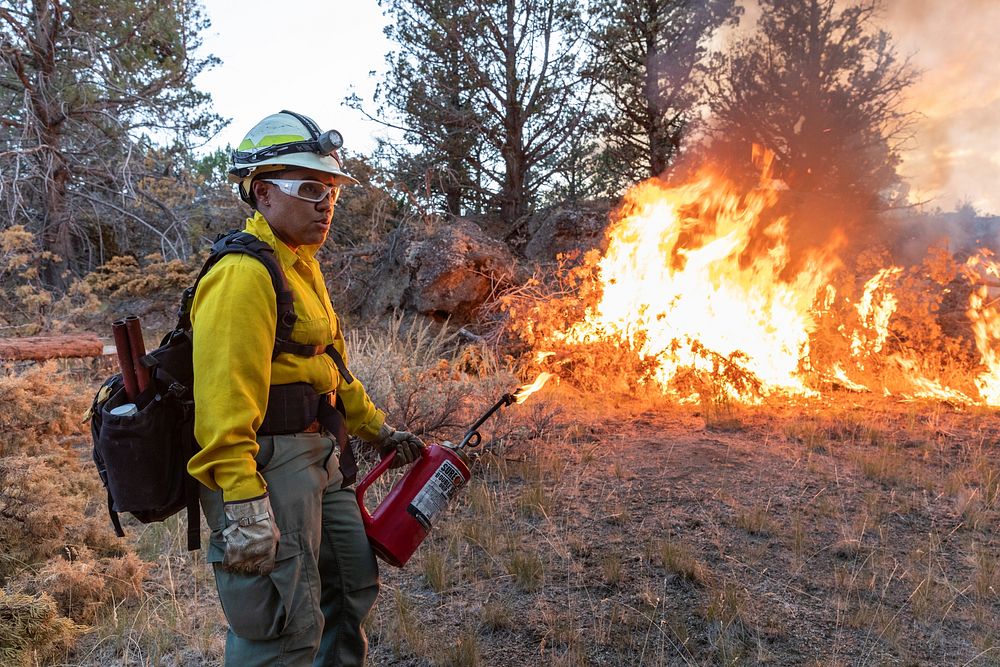 Blacklining the Trout Springs Rx Fire. A firefighter pauses after lighting a slash pile. (DOI/Neal Herbert). Original public…