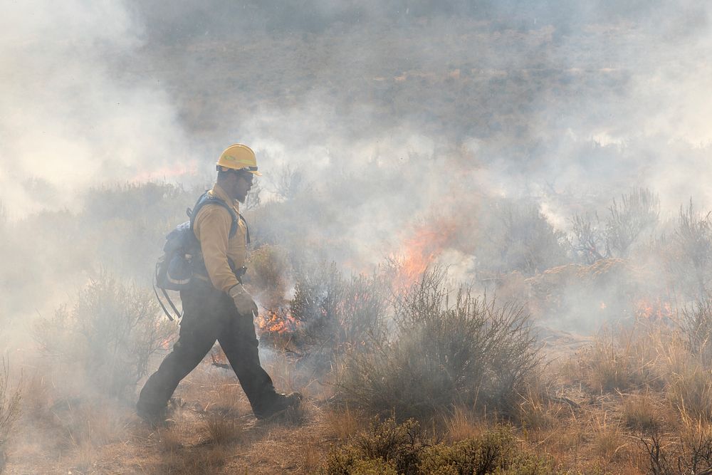 Blacklining the Trout Springs Rx Fire. A firefighter works in smoky conditions.(DOI/Neal Herbert). Original public domain…