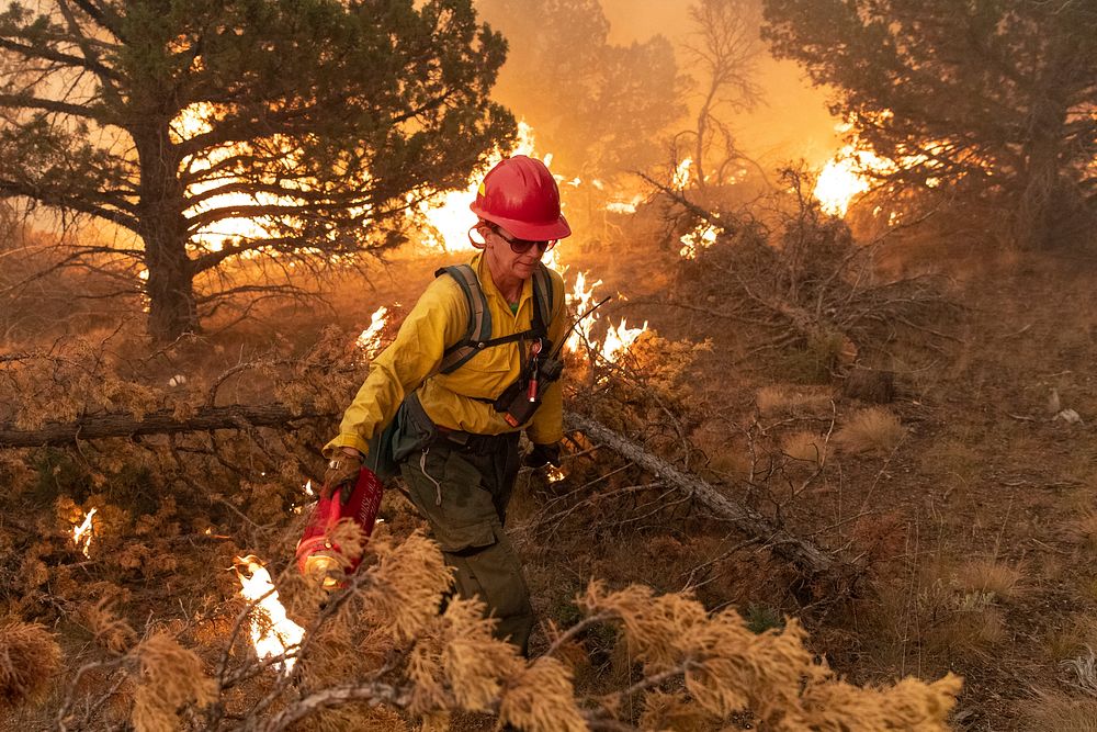 BLM Idaho Prescribed FireA firefighter uses a drip torch to ignite slash piles on the Bureau of Land Management's Trout…