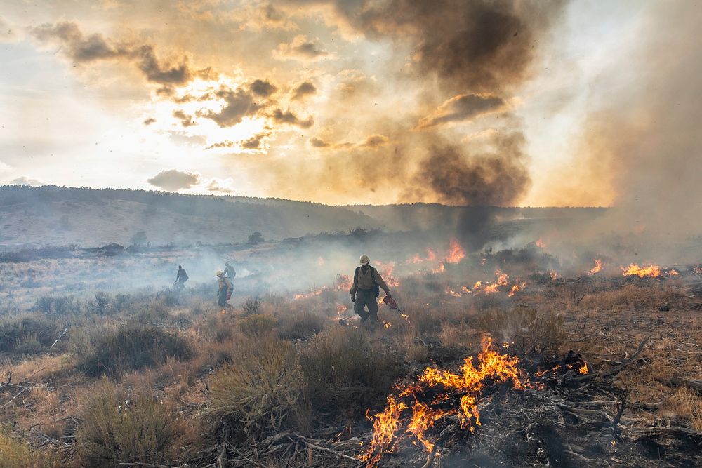 BLM Idaho Prescribed FireA hand crew uses drip torches to burn vegetation along a control line on the Bureau of Land…