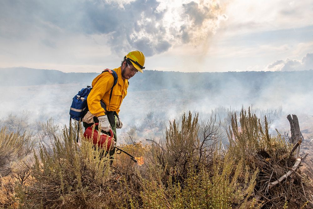 BLM Idaho Prescribed FireA member of the Idaho Conservation Corps sets fire using a drip torch on the Bureau of Land…