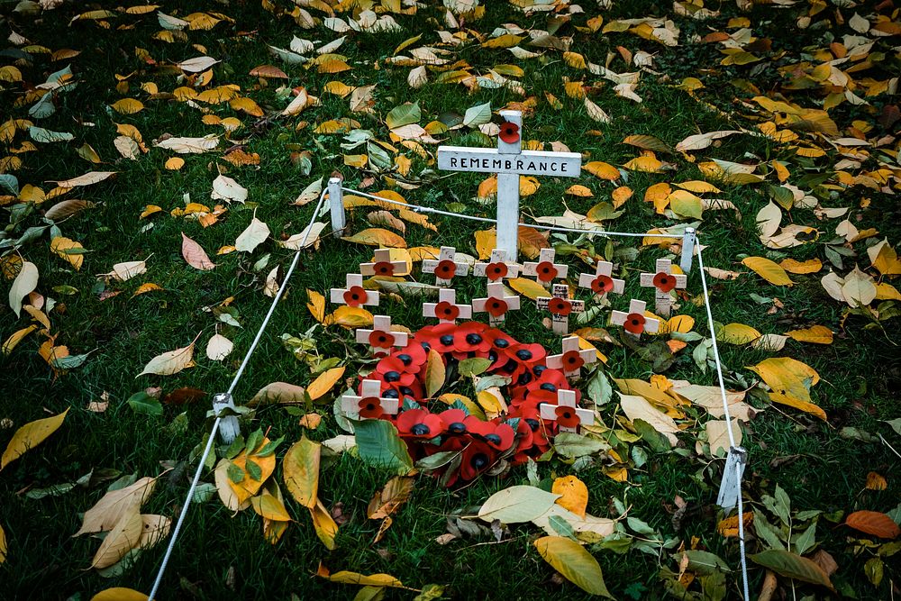 Veterans day at a graveyard. Original public domain image from Flickr