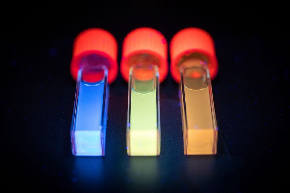 Samples of coal-derived graphene quantum dots that glow when exposed to light.