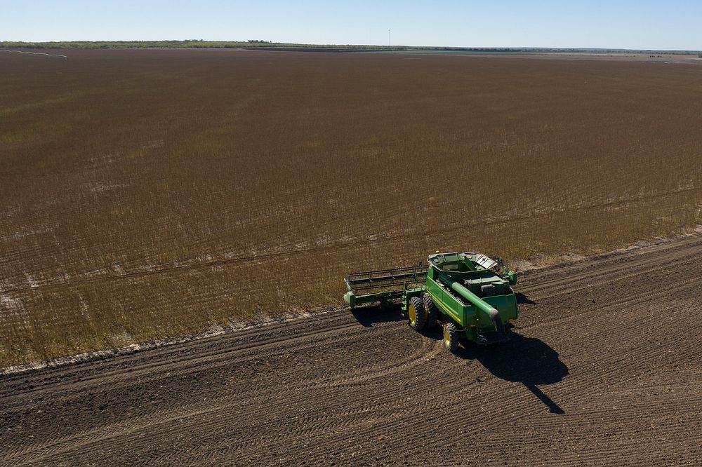 Schirmer Farms (Batesville) Operations Manager Brandon Schirmer leaves the harvester parked and ready to start the first…