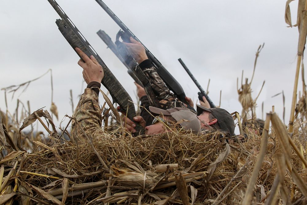 Hunting Waterfowl. Original public domain image from Flickr