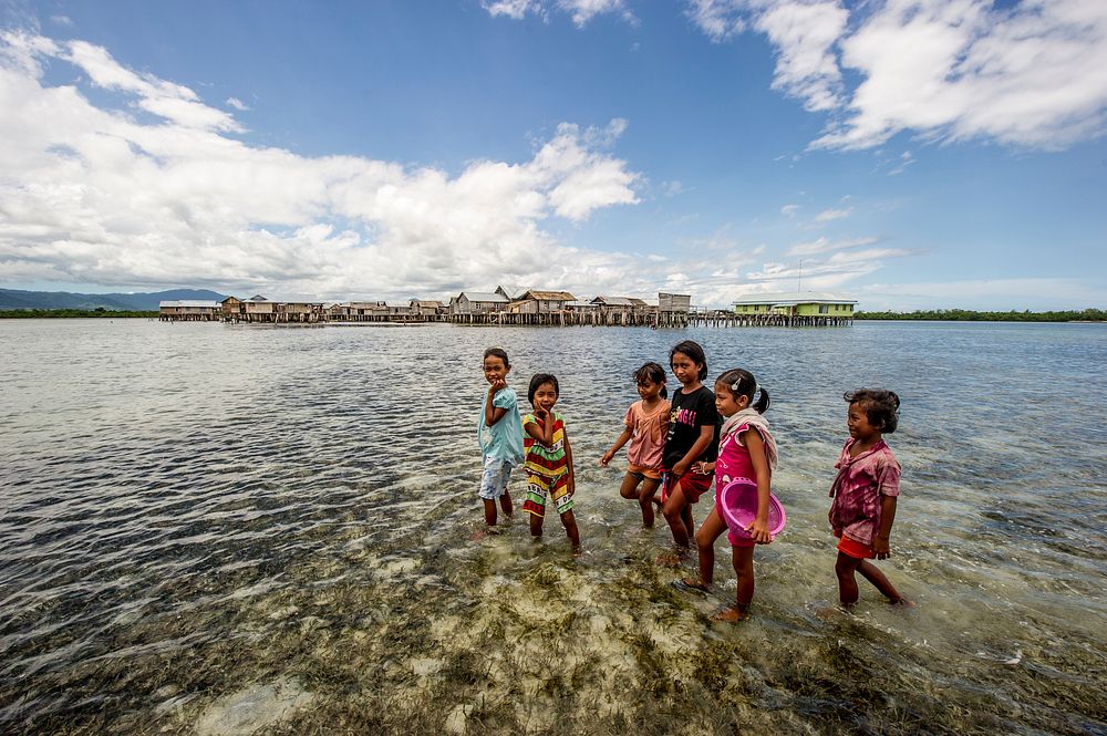 Bermain di laut dangkalChildren make the most of a calm day at Torosiaje village to forage for sea food. Sulawesi.Photo…