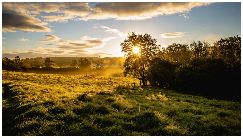 Silverdale Dawn. Original public domain image from Flickr