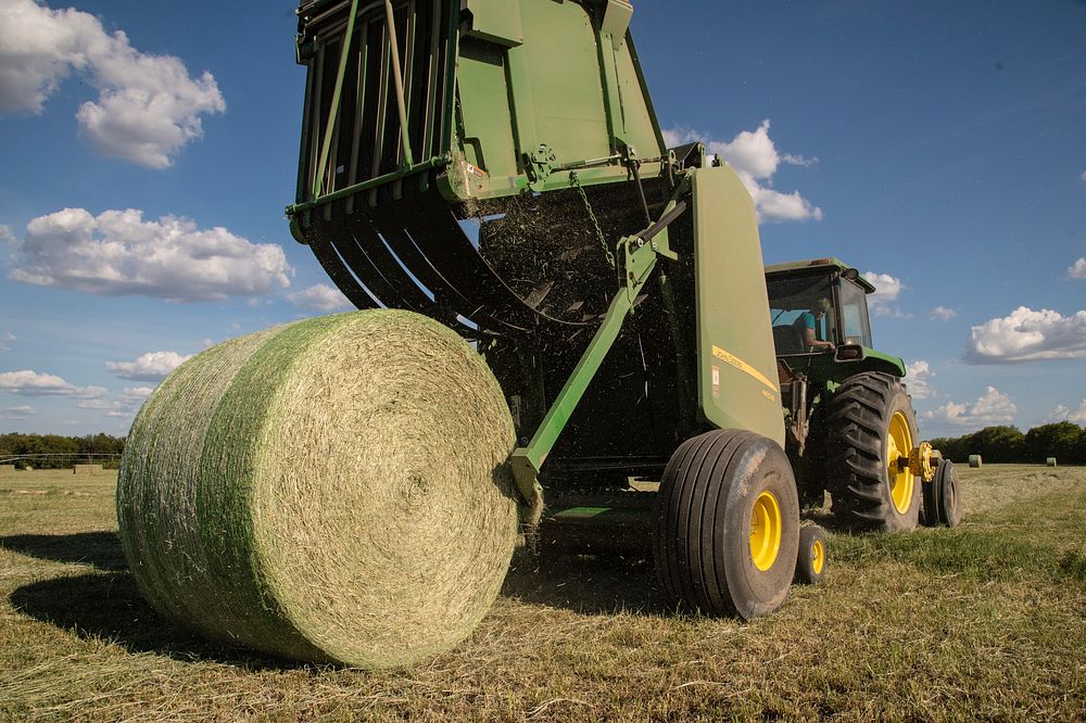 Hay harvest at Ernie Schirmer Farms in Macdona, TX, just outside of San Antonio, TX, on Aug 16, 2020. USDA Photo by Lance…