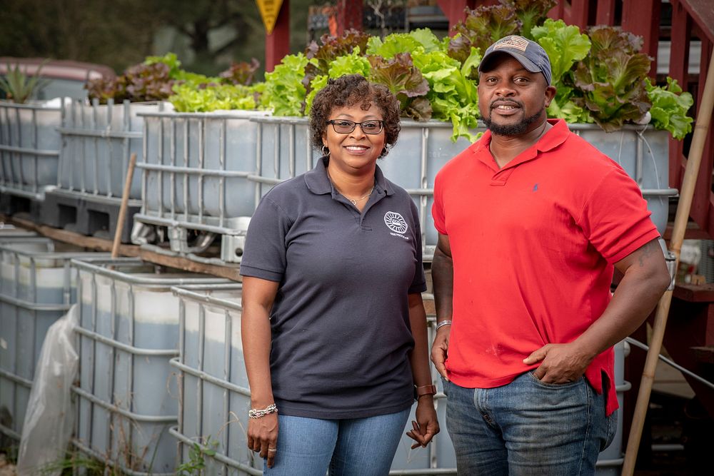 Karla Hollis, USDA 1890 liaison is shown Aqua ponies growing Solanovis lettuce for market in farmers market and local…