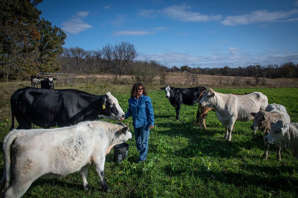 Tammy Higgins is a multi-generational Native American rancher who raises 80 head of cattle on here farm in of Okfuskee…