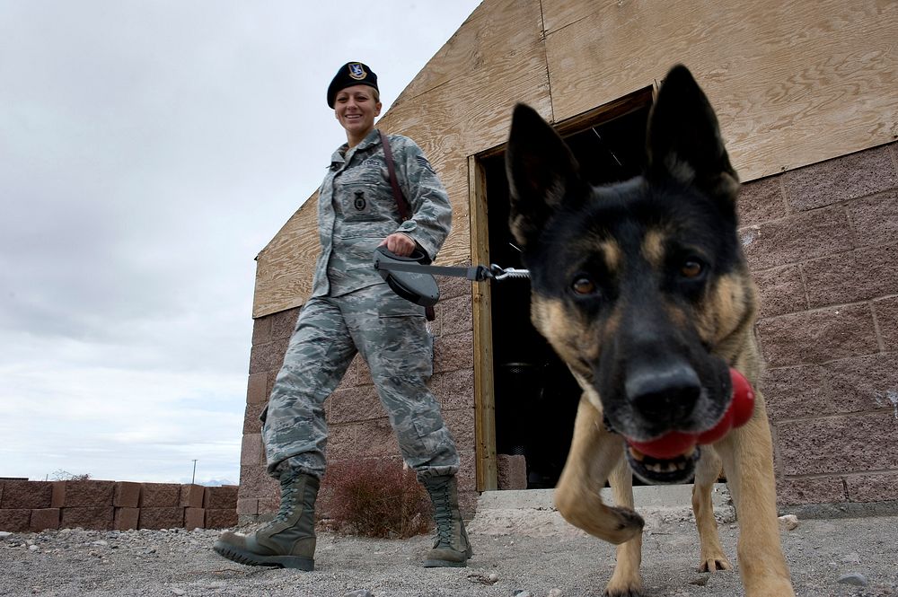 U.S. Air Force Staff Sgt. Bobbie Ohm, a military working dog handler with the 99th Security Forces Squadron, walks with…