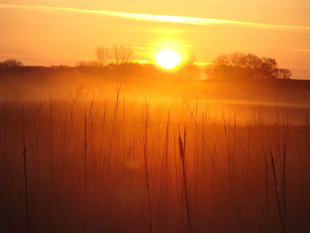 Sunrise over marsh in Big Stone County, MN. Original public domain image from Flickr